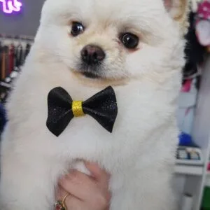 Servicio de Peluquería - Sucursal Balcarce