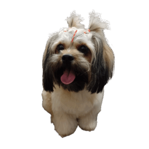 Servicio de Peluquería - Sucursal Benjamín