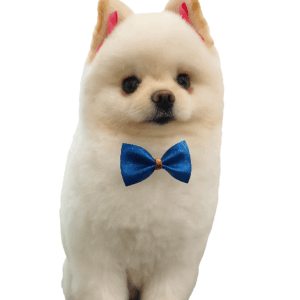 Servicio de Peluquería - Sucursal Soeme