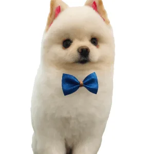 Servicio de Peluquería - Sucursal Soeme