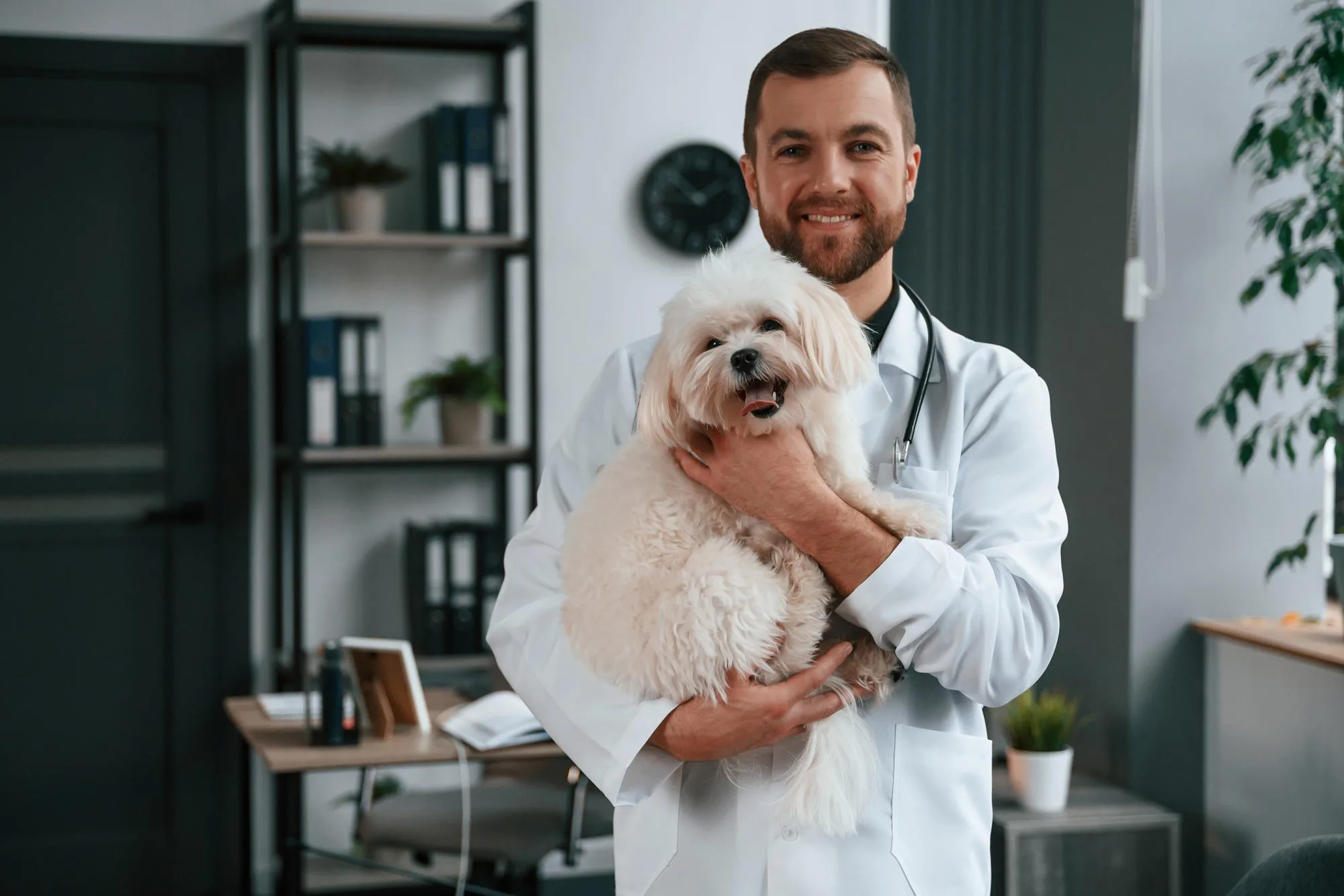 Consulta Virtual con Especialistas