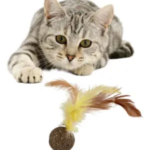 Catnip con Pluma