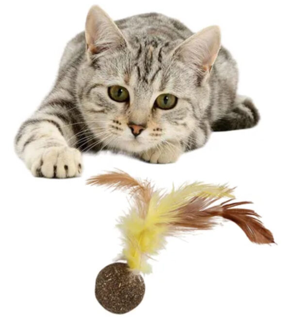 Catnip con Pluma