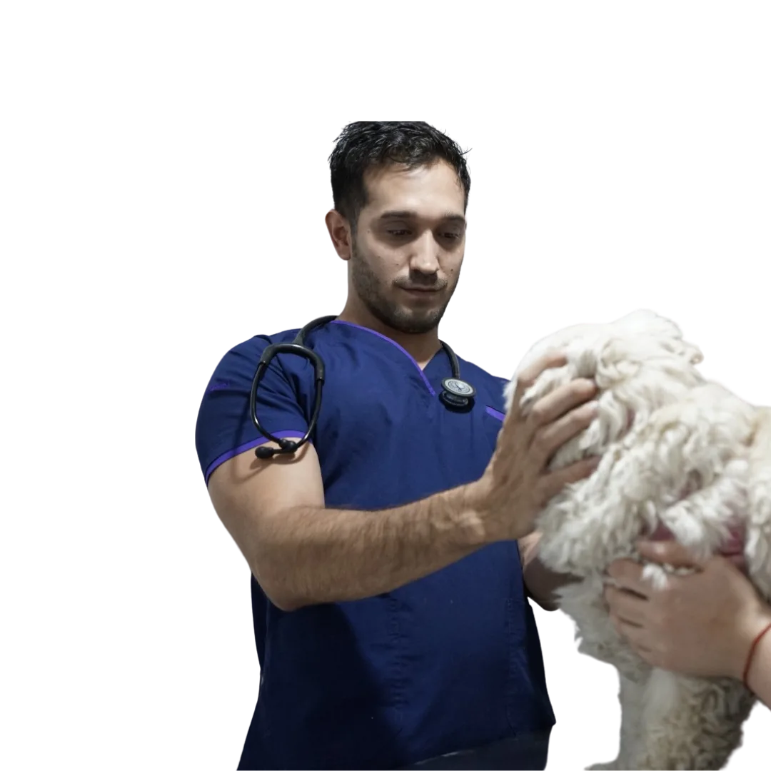 Dr. Cristian Díaz Sedan