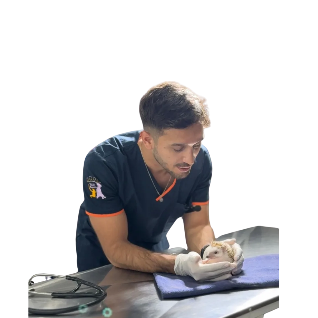 Dr. Cristian Díaz Sedan