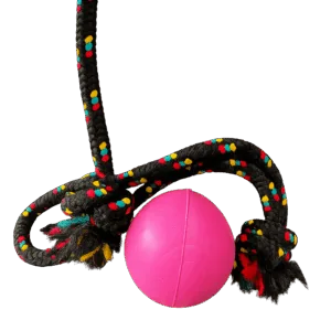 Mordillo Grande con Pelota Macisa en el Medio