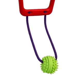 Mordillo con Agarradera de Plástico y Pelota con Pinchos