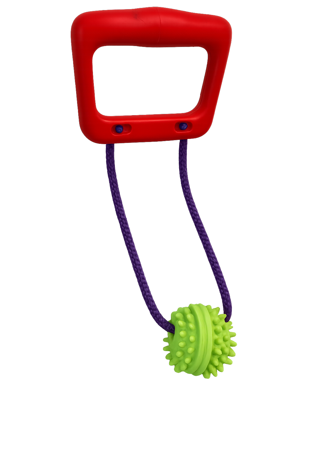 Mordillo con Agarradera de Plástico y Pelota con Pinchos