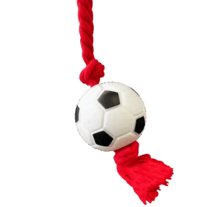 Mordillo con Pelota de Futbol