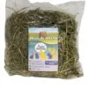 heno de alfalfa alimento para roedores