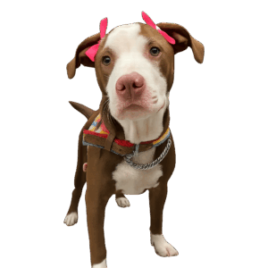 Servicio de Peluquería - Sucursal Benjamín