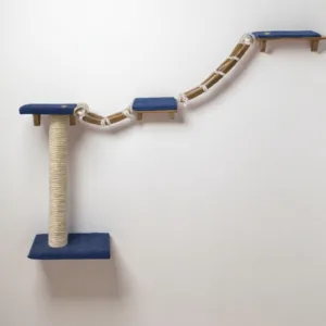 circuito mini explorador