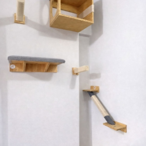 Circuito Aventura Indoor