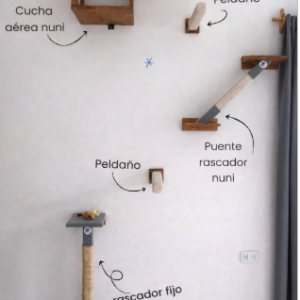 circuito reino felino