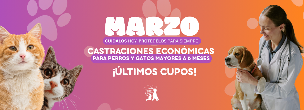 Marzo - Castraciones Economicas para perros y gatos